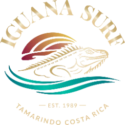 Iguana Surf