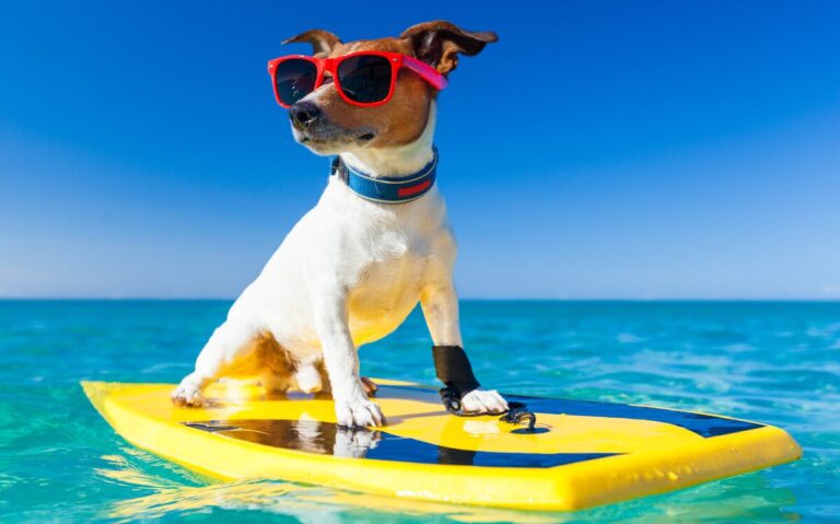 TOP 5 WAYS TO ENJOY AN EPIC TAMARINDO SURF VACATION