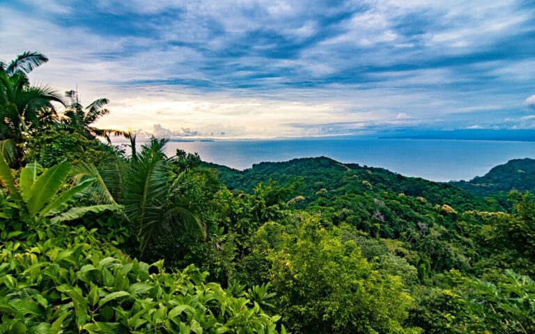 Holiday Visit to Costa Rica – Tamarindo’s Hidden Gifts