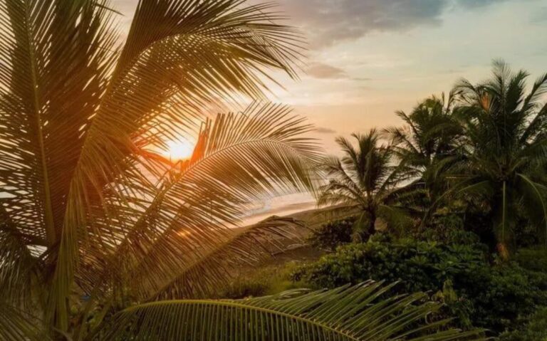 The 8 Best Surfing Spots in Costa Rica