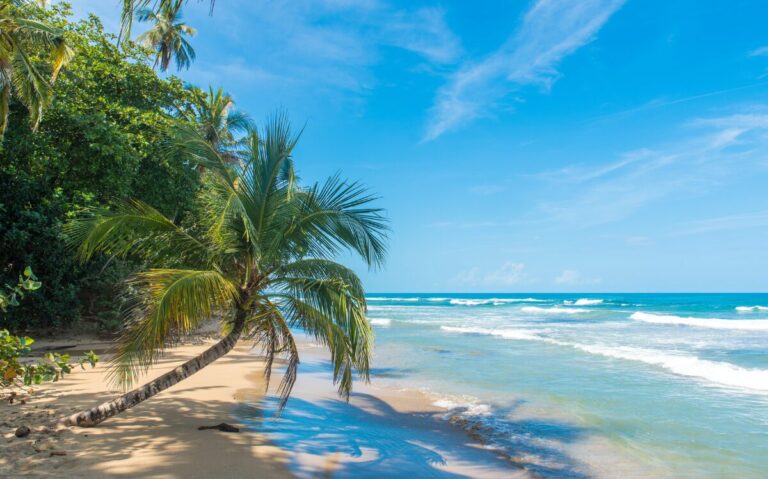 Surfing Road Trips from Tamarindo – Discover Costa Rica’s Coastal Gems