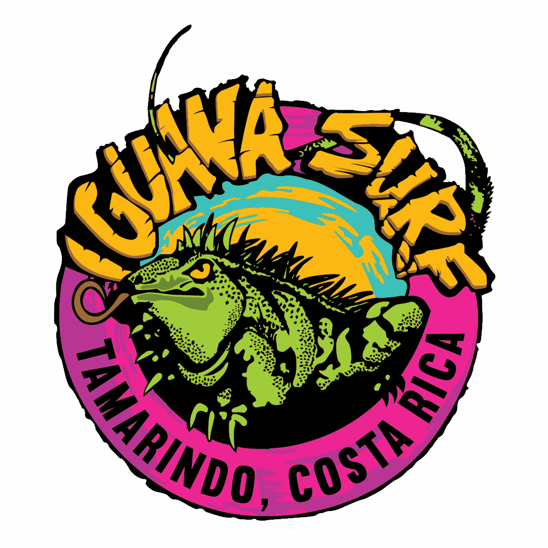 Iguana Surf